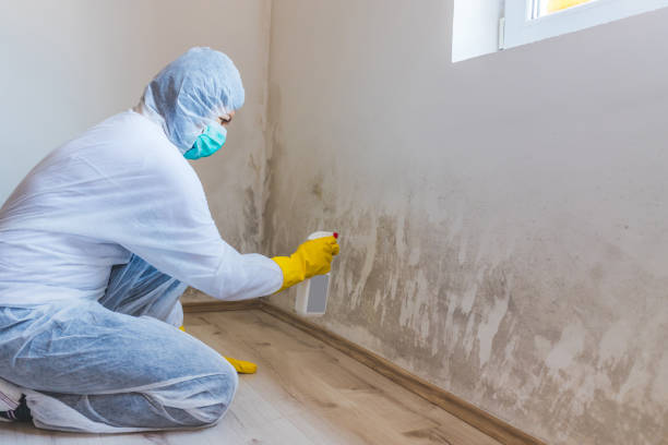 Mold Remediation specialist working in Sadsburyville