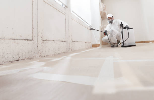 Black mold remediation team in Sadsburyville